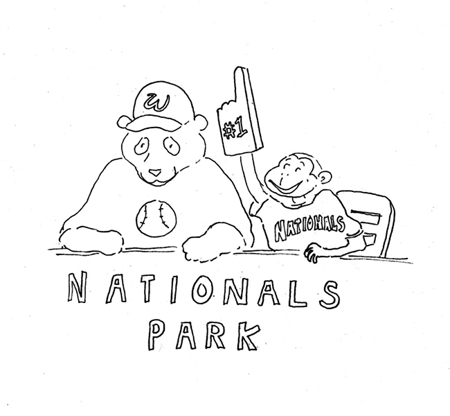 nationals fans